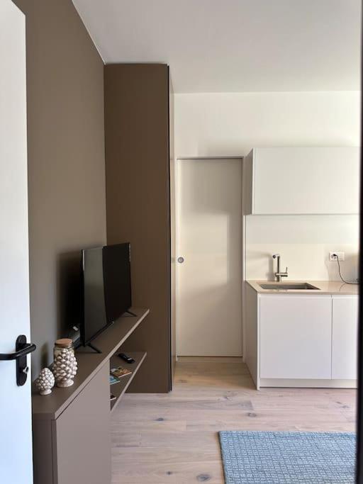 Riva 13 Apartment Лугано Екстериор снимка